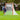 Professional Lacrosse Goal