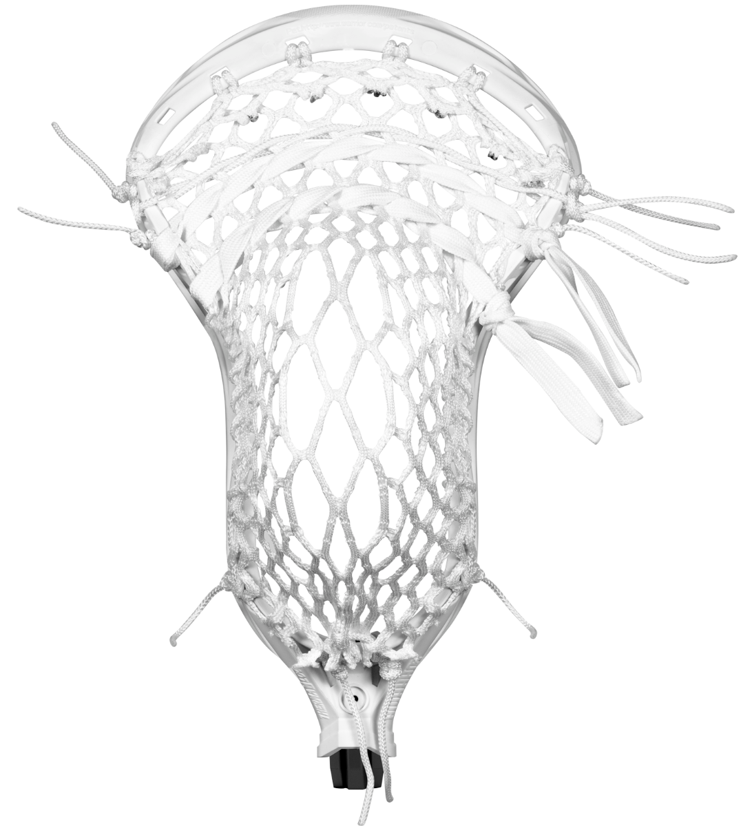 Warrior Wall strung with Moose Mesh